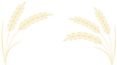 Buğday desenli duvar kağıdı. Buğday sembolü. Metin için boş alan.