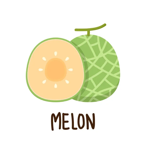 Vector Logotipo Melón Melón Sobre Fondo Blanco Mitad Melón — Archivo Imágenes Vectoriales