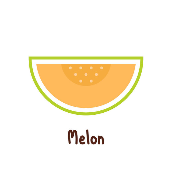 Melon vector. melon on white background. logo design. symbol.