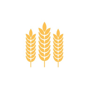 Buğday sembolü vektörü. Yulaf logosu tasarımı.