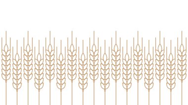 Buğday desenli duvar kağıdı. Pirinç işareti. Pirinç desenli duvar kağıdı.