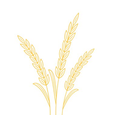 Buğday karalama vektörü. Beyaz arkaplanda buğday.