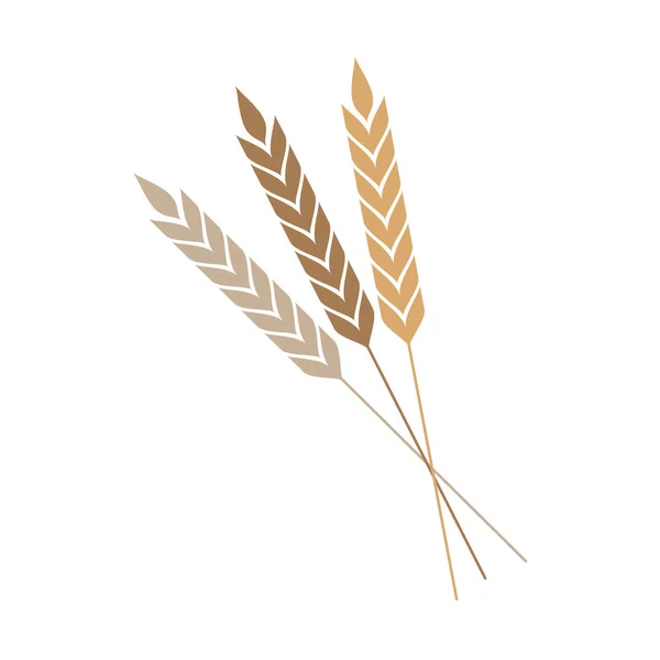 米的符号 燕麦符号向量 标志设计 — 图库矢量图片