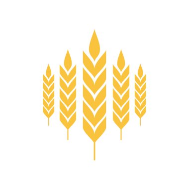 Pirinç sembolü Buğday sembolü vektörü. Duvar kağıdı. logo tasarımı.