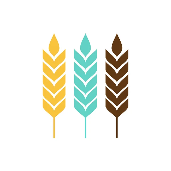 Symbol Rýže Vektor Ovesného Symbolu Návrh Loga Pšenice — Stockový vektor