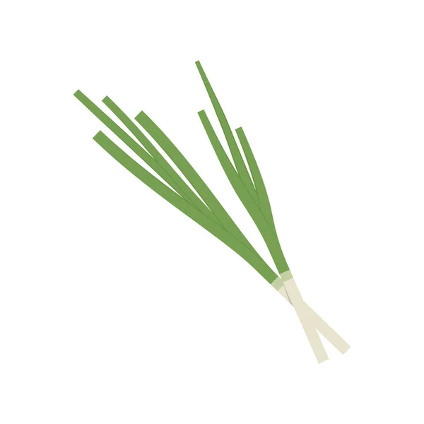 Spring Onions Vector Spring Onions White Background — Stock Vector