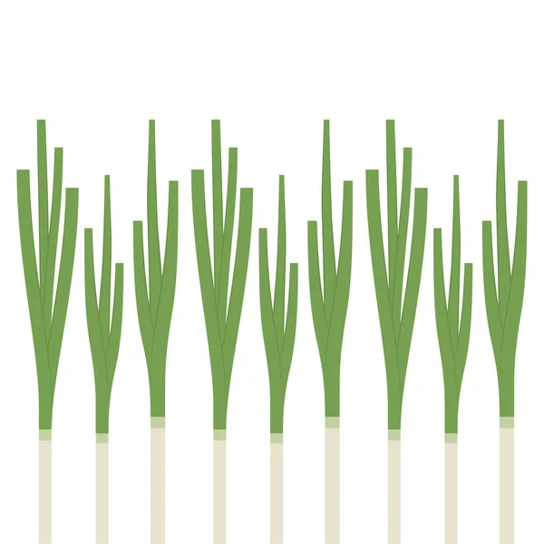 Vårlöksvektor Våren Lök Vit Bakgrund — Stock vektor
