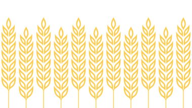 Buğday desenli duvar kağıdı. Yulaf sembolü. Metin için boş alan. Pirinç işareti. Pirinç desenli duvar kağıdı.