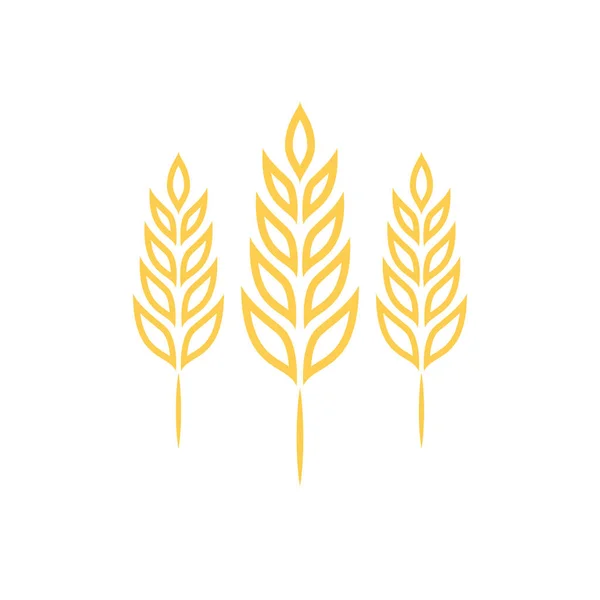 Wheat Symbol Vector Wheat Logo Design — Stock Vector