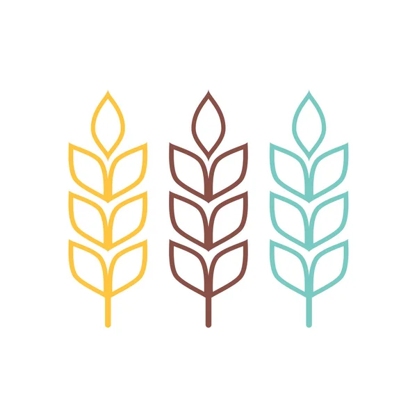 小麦のシンボルベクトル 小麦ロゴデザイン — ストックベクタ