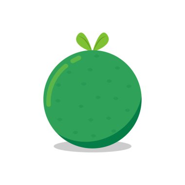 Lime karikatür vektörü. Beyaz arkaplanda kireç.