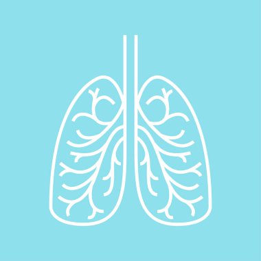 Akciğer karalama vektörü. Akciğer sembolü vektörü.