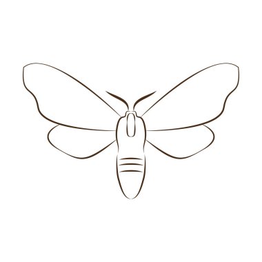 Güve karalama sembolü. Beyaz arkaplanda güve logo vektörü.