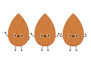 Badem vektörü. Badem karakter tasarımı. Beyaz arkaplanda badem.