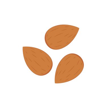 Badem vektörü. Beyaz arkaplanda badem.