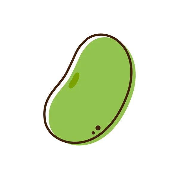 Mung Bean Vektörü Beyaz Arkaplanda Mung Bean — Stok Vektör