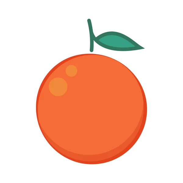 オレンジベクトル オレンジのシンボルベクトル 白を背景にオレンジ — ストックベクタ