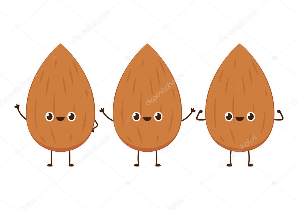 Almond vector. Almond character design. Almond on white background.