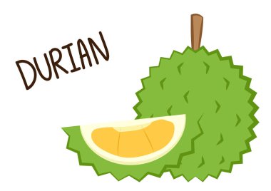 Durian karikatür vektörü. Beyaz arkaplanda Durian.