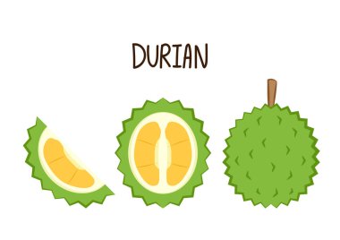 Durian karikatür vektörü. Beyaz arkaplanda Durian.
