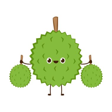 Durian karakter tasarımı. Durian beyaz arka planda. Durian çizgi film vektörü.
