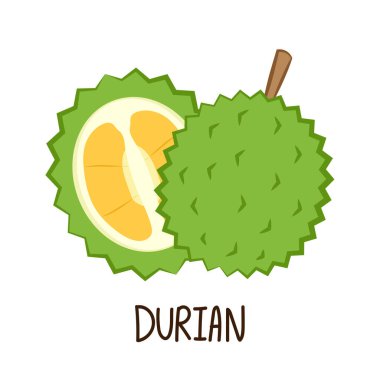 Durian karikatür vektörü. Durian beyaz arka planda. Durian logo tasarımı.