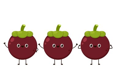 Mangosteen karakter tasarımı. Beyaz arkaplanda Mangosteen.