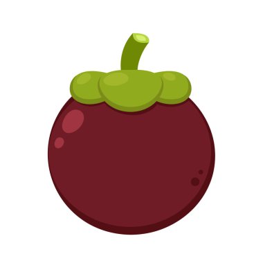 Mangosteen vektörü. Beyaz arkaplanda Mangosteen.