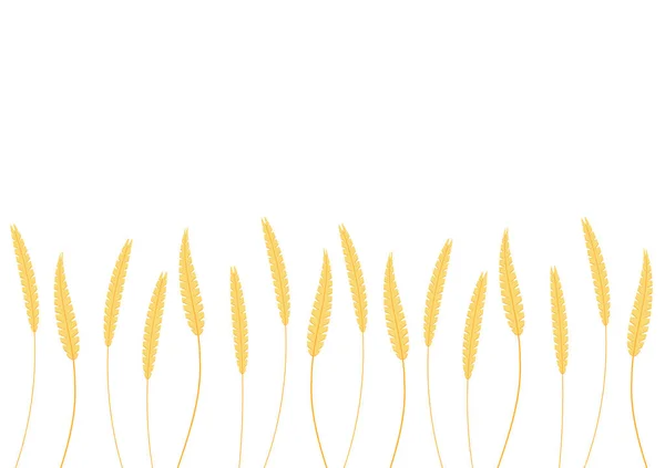 Buğday Desenli Duvar Kağıdı Yulaf Sembolü Metin Için Boş Alan — Stok Vektör