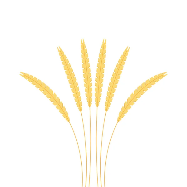 Pirinç Sembolü Buğday Sembolü Vektörü Duvar Kağıdı Logo Tasarımı — Stok Vektör