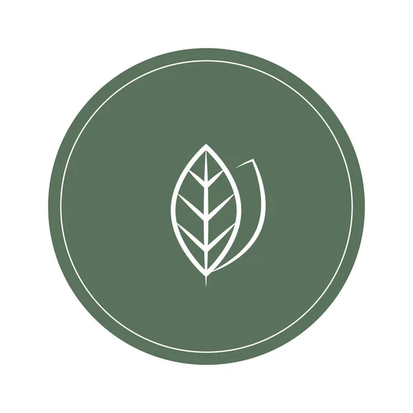 Leaf Doodle Vektor Blatt Logo Entwerfen Grüner Tee Symbol — Stockvektor