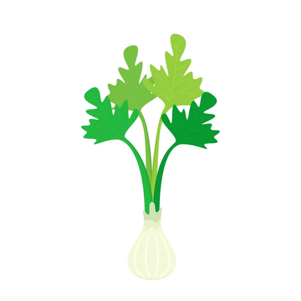 Vector Dibujos Animados Cilantro Sobre Fondo Blanco — Vector de stock