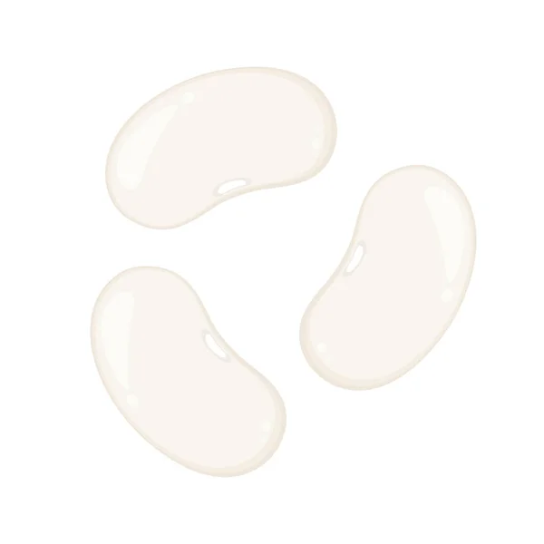 Haricots Blancs Vecteur Haricots Blancs Sur Fond Blanc — Image vectorielle