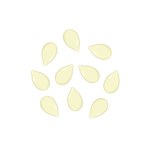 Vecteur Graines Citrouille Graine Citrouille Sur Fond Blanc — Image vectorielle