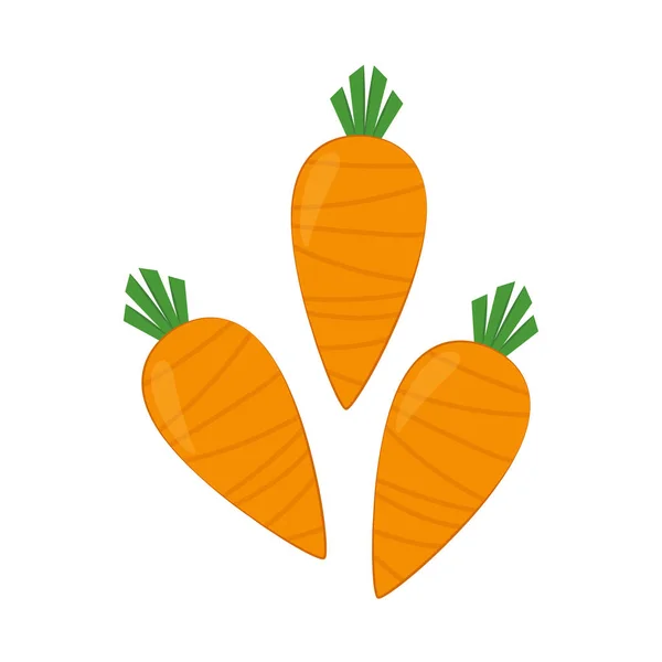 Vector Zanahoria Zanahoria Sobre Fondo Blanco — Vector de stock