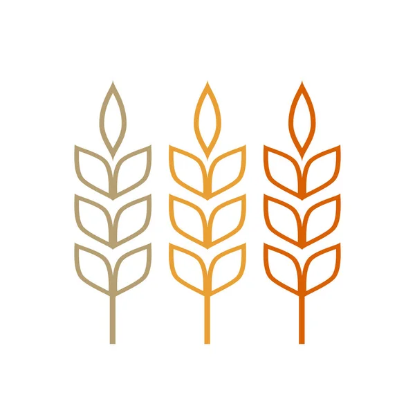 小麦のロゴデザイン 米のシンボル 記号ベクトルで — ストックベクタ