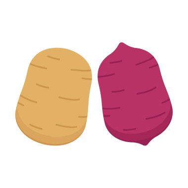 Tatlı patates ve patates vektörü. Beyaz arkaplanda patates.