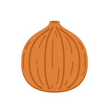 Soğan vektörü. Beyaz arkaplanda soğan.