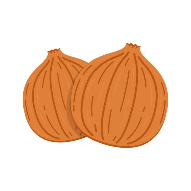 Soğan vektörü. Beyaz arkaplanda soğan.