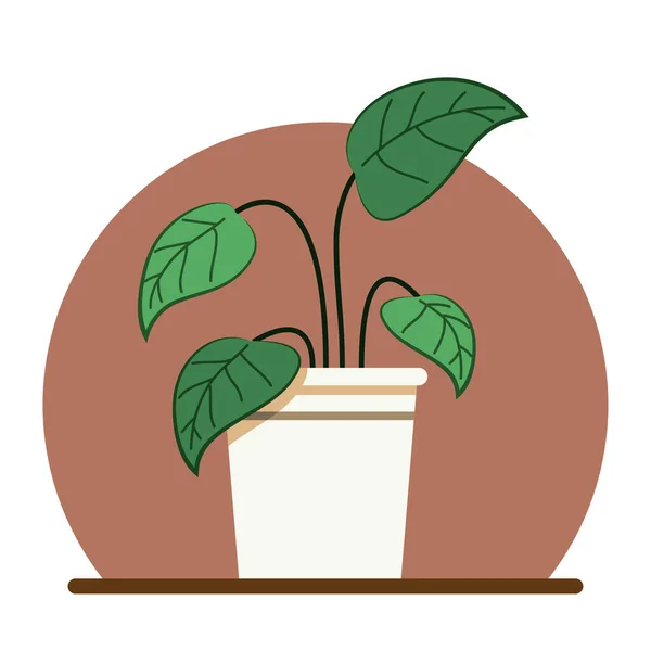 Plantas Vaso Vector Cartoon Vetor Plantas Vaso — Vetor de Stock