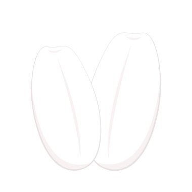 Beyaz arka planda izole edilmiş pirinç tohumu. Pirinç tohumu logosu Mısır gevreği işareti.