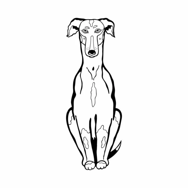 Ilustración Vectorial Blanco Negro Perro Sentado Aislado Sobre Fondo Blanco — Vector de stock