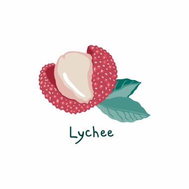 Açık liçi meyvesinin vektör çizimi. Çin eriği sulu posası, parlak kabuk ve yapraklar. Beyaz arkaplanda izole. 