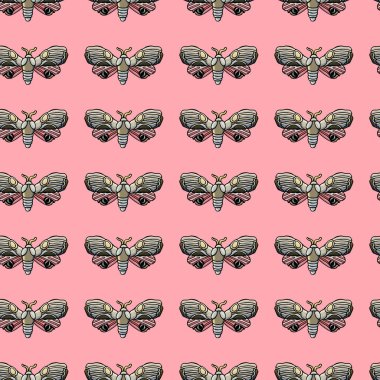 Kusursuz pembe güve arka planı, pembe arka plan, giysi deseni, kumaş deseni, antika, duvar kağıdı, hediye kağıdı, kadınlar için, bayram, çizgi film, romantizm, beyaz güve, pembe kanatlar, gece, böcek, kanatlar, böcek, böcek bilimci, dekoratif