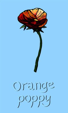 Kart, kartpostal, boş alan, metin, tipografi, kağıt, tebrik, davetiye, davetiye, kutlama, dekor, dekoratif, dekorasyon, portakal haşhaş, kartpostal, mektup, çiçek, çizgi film tarzı, afiş, poster, çiçekçilik, tebrik, doğum günü,