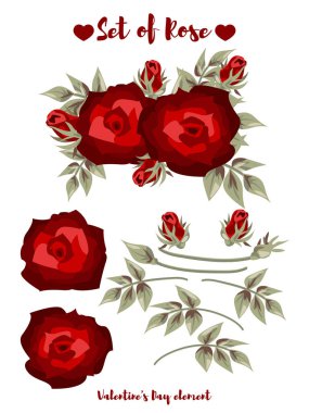 single roses drawing set free vector eps cdr ai svg vector illustration graphic art