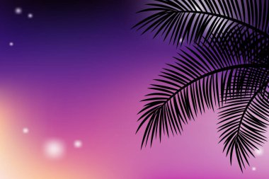Palmiye yapraklarının tropikal yaz arkaplanı fotokopi alanınız için mor günbatımı gökyüzünde dallar oluşturur. Vektör illüstrasyonu.