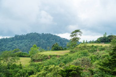 Tepenin tepesindeki aktivite alanı bulutlu.