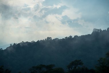 Tepenin tepesinde sis var.