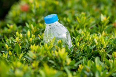 Parktaki çalılıklara şişe şişe içme suyu döken kötü insanların davranışları..